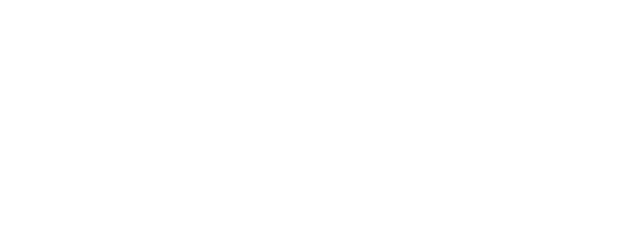 WAW Trips Logo blanco